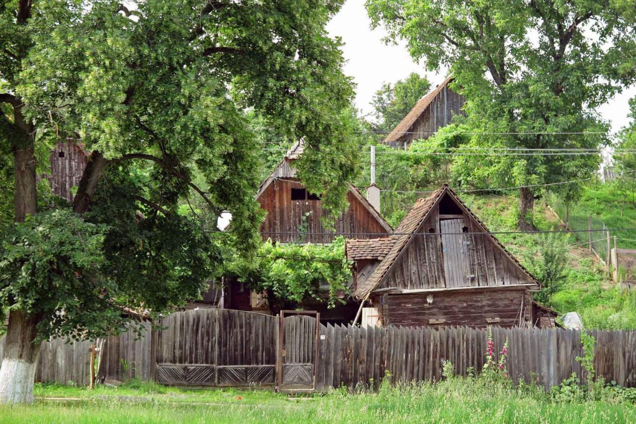 Апартаменты Casa Zollo Сэлиште Экстерьер фото