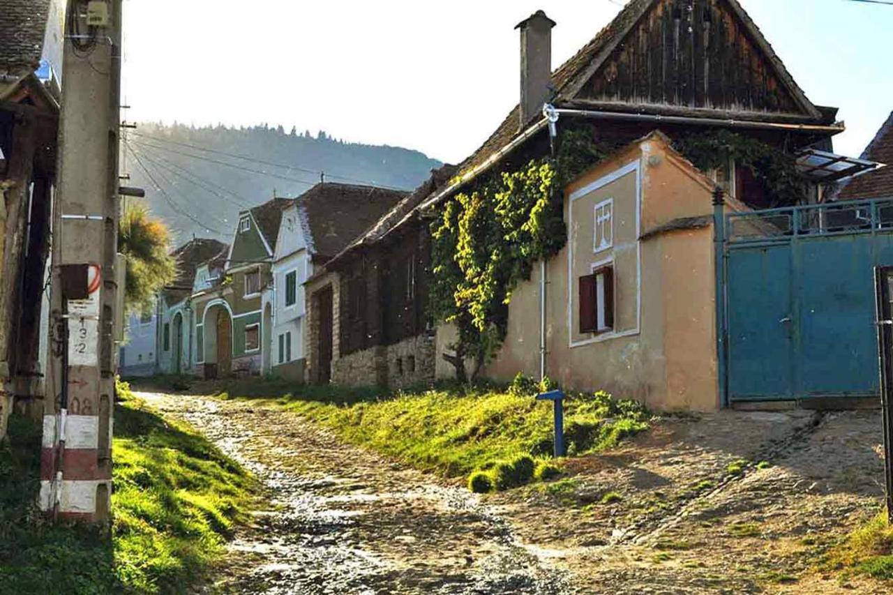 Апартаменты Casa Zollo Сэлиште Экстерьер фото
