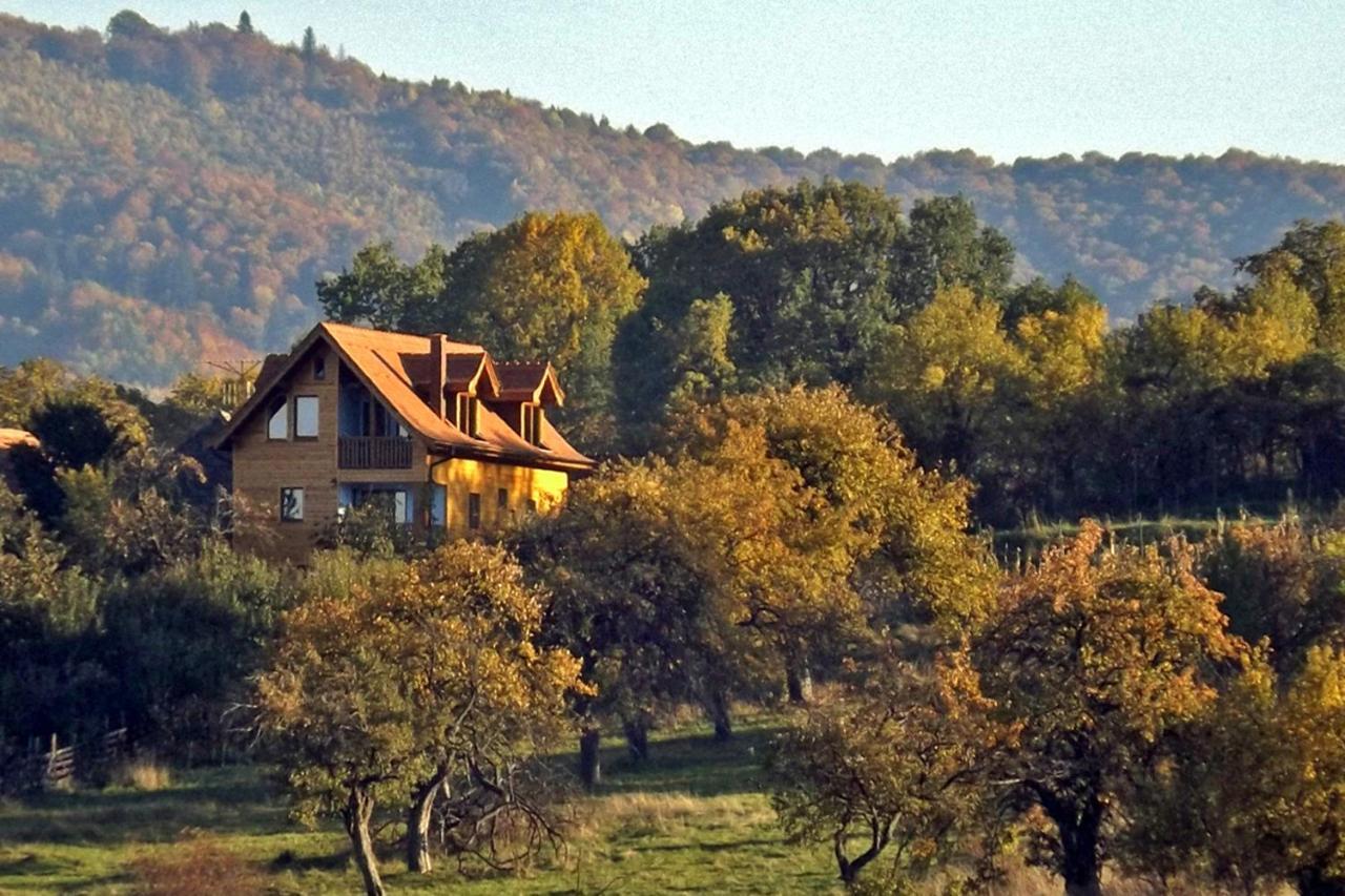 Апартаменты Casa Zollo Сэлиште Экстерьер фото